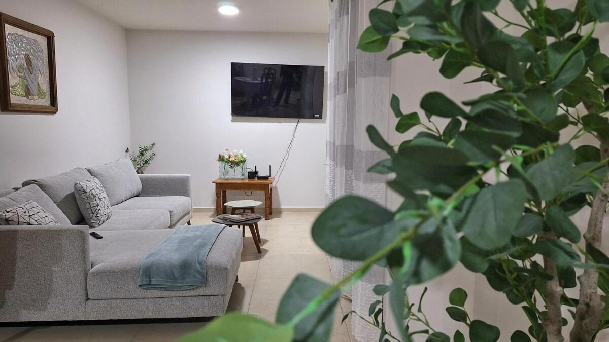 Apartmán Departamento Tequis, Totalmente Nuevo En El Corazon De Slp San Luis Potosí Exteriér fotografie
